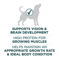 Purina ONE SmartBlend Formule pour Chiots de Grandes Races Poulet, Nourriture Sèche pour Chiens 7 kg 14 kg