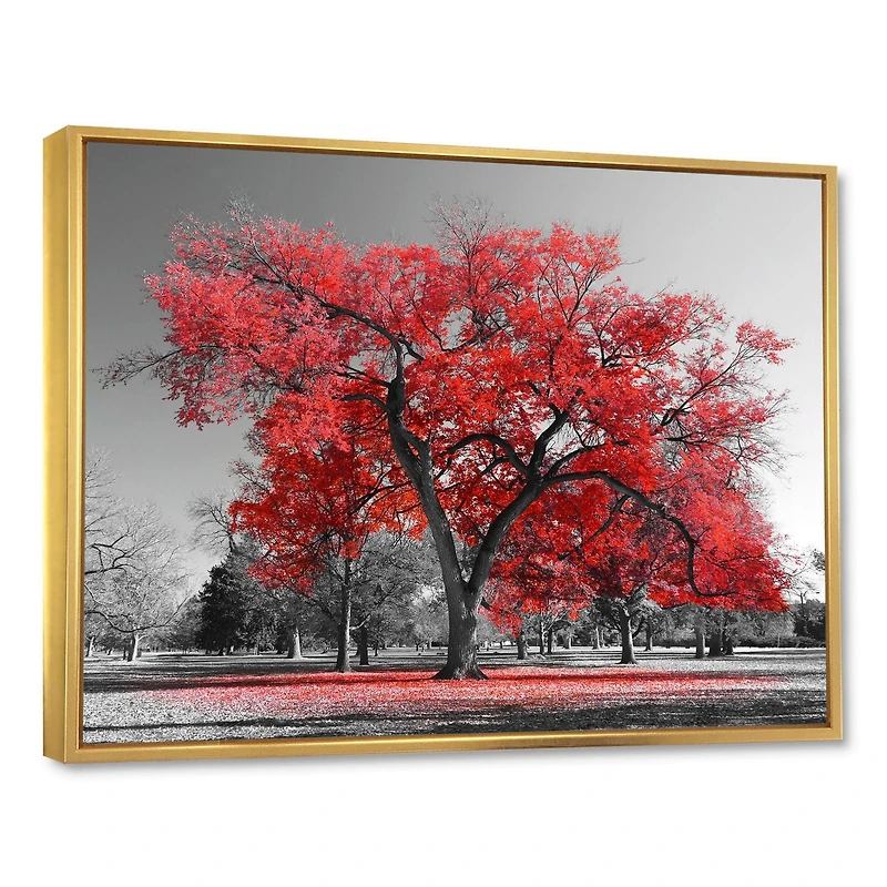 Designart Grand arbre rouge le jour brumeux ART MURAL À CADRE FLOTTÉ