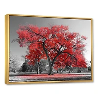 Designart Grand arbre rouge le jour brumeux ART MURAL À CADRE FLOTTÉ