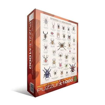 Casse-tête - Araignées & arachnides