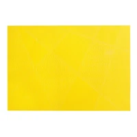 Vinyl Placemat (Electrify) (Jaune) - Set of 12