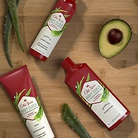 Shampooing Old Spice pour cheveux ondulés et bouclés avec aloès et huile d’avocat 21,9 oz liq./650 mL