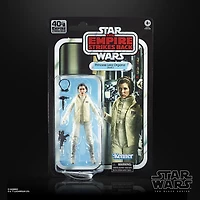 Star Wars The Black Series - Figurine Princess Leia Organa (Hoth)
