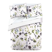 Springmaid TS Floral douillette TGL