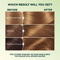 Garnier Nutrisse Ultra Crème, Coloration Permanente, Longue-Durée, 1 unité 100% Couverture des Cheveux Gris