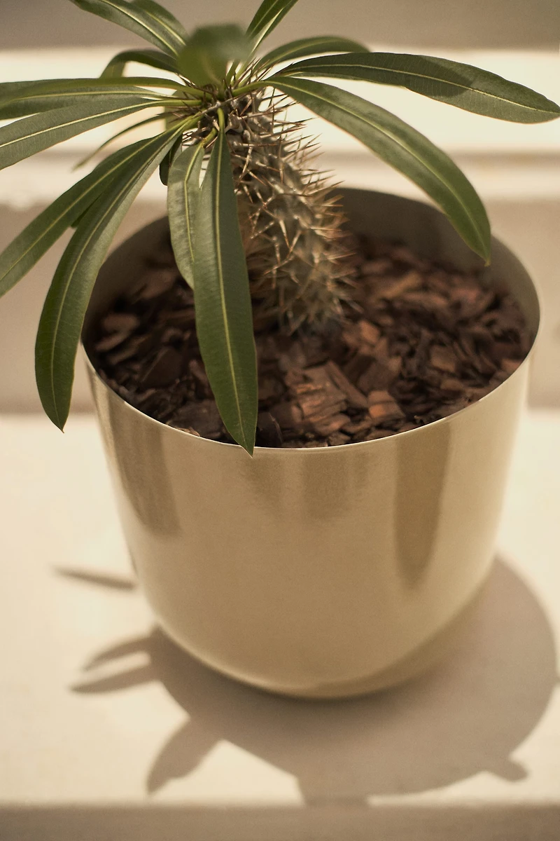 Large Metal Plant Pot