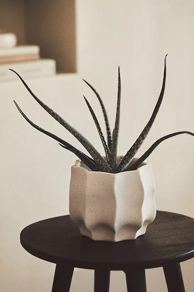 Stoneware Plant Pot
