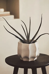 Stoneware Plant Pot