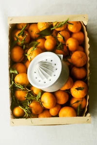 Reactive-Glaze Lemon Juicer