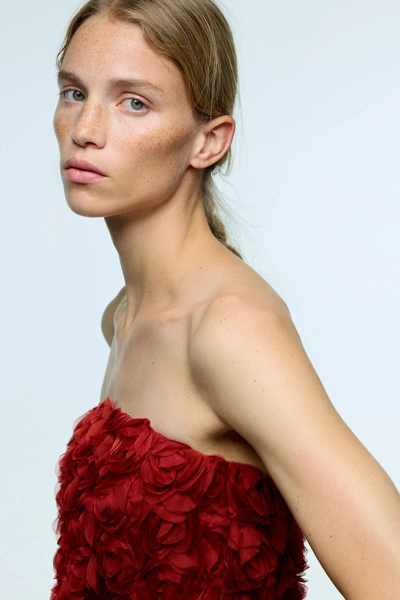 Appliquéd Bandeau Mini Dress