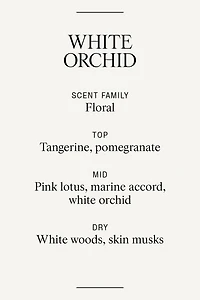 Scented Candle Glass Holder