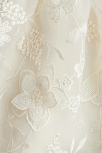 Embroidered Organza Dress