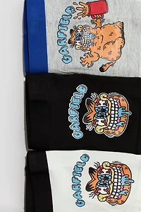 Lot de 5 caleçons boxeurs