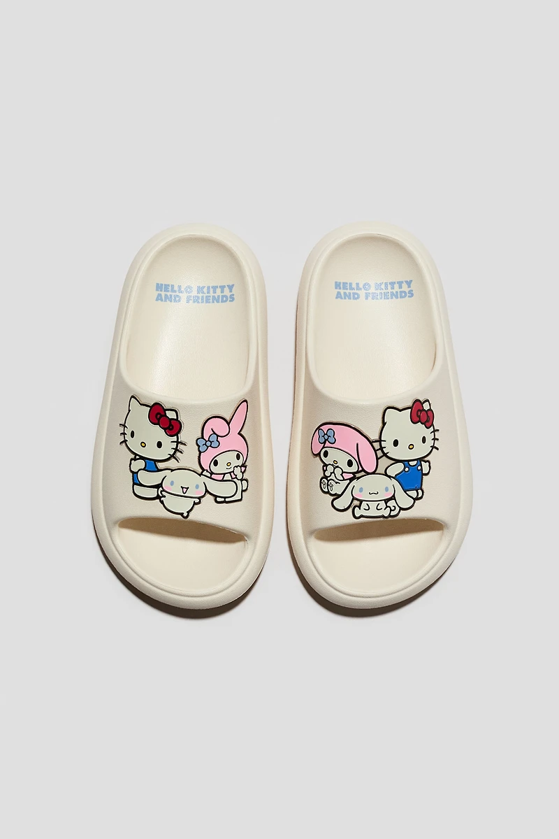 Molded Pool Slide Shoes