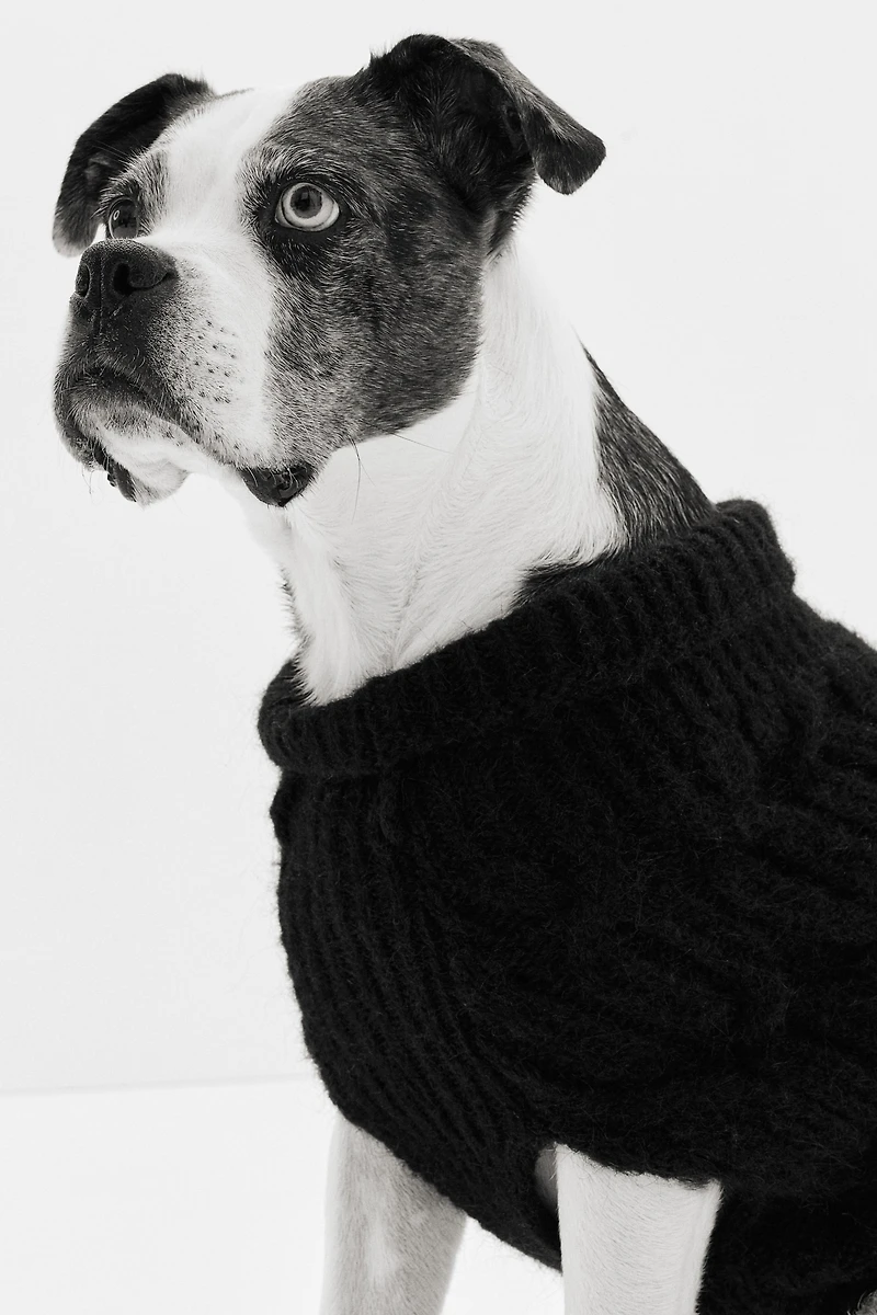 Cable-knit Dog Sweater
