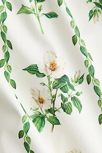 Cotton Dress with Flared Skirt