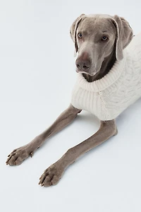 Cable-Knit Dog Sweater