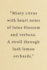 Reed Diffuser