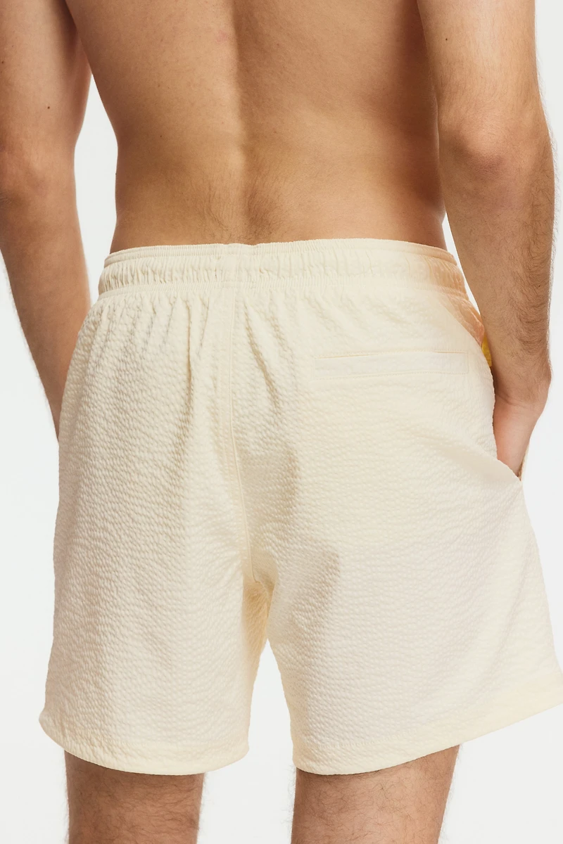 Seersucker Swim Shorts