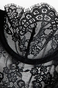 Lace Bustier