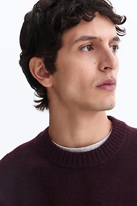 Chandail classique à la finition brossée