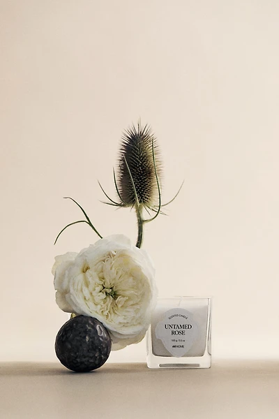 Petite bougie parfumée dans un pot en verre