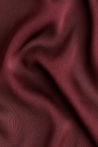 Cap-Sleeved Satin Blouse
