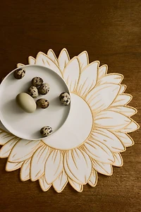 2-Pack Water-Repellent Placemats