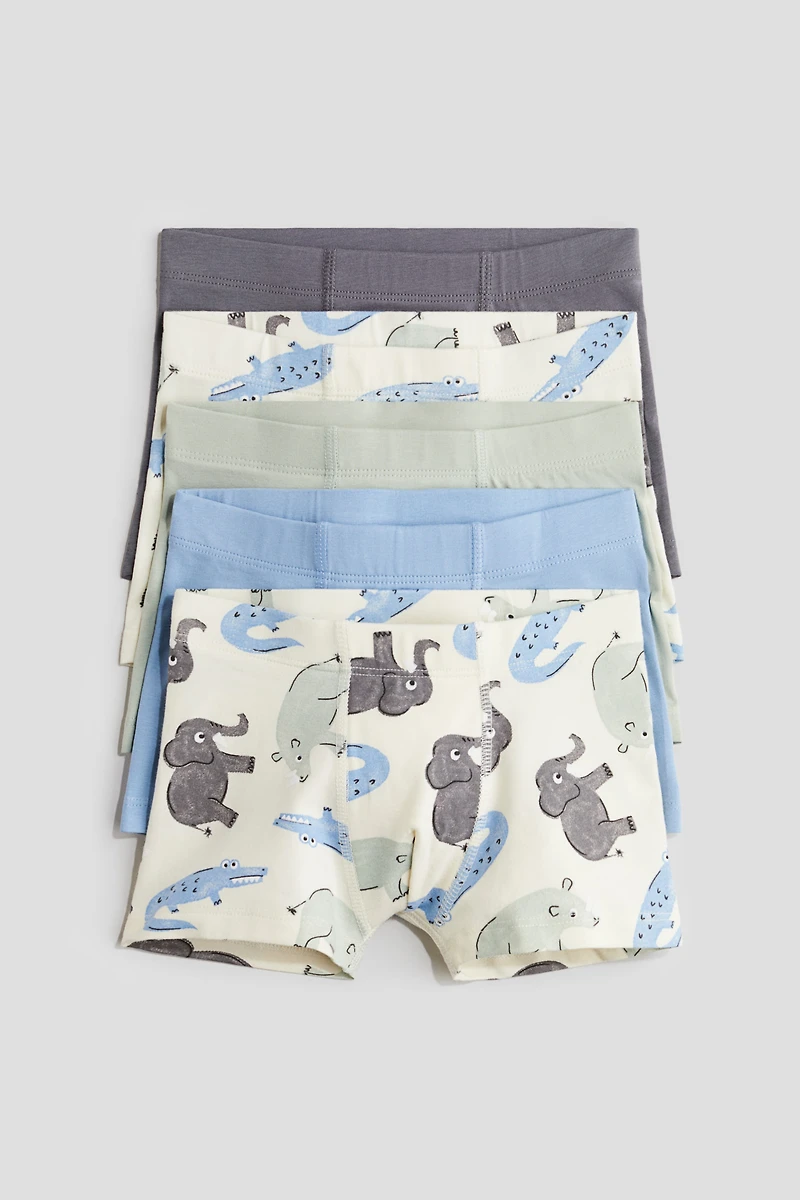 5-pack Boxer Briefs
