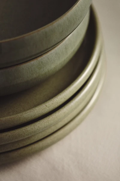 2-Pack Stoneware Dinner Plates