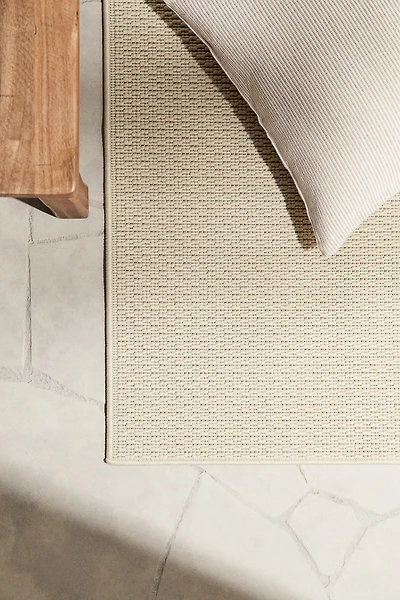 Large Indoor/outdoor Rug