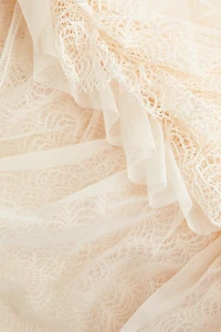 Ruffle-Trimmed Lace Dress