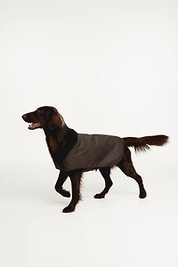 Manteau ciré pour chien