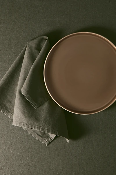 2-Pack Stoneware Dinner Plates