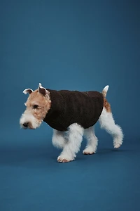 Teddy Fleece Dog Jacket