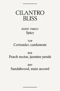 Scented Candle in Glass Holder