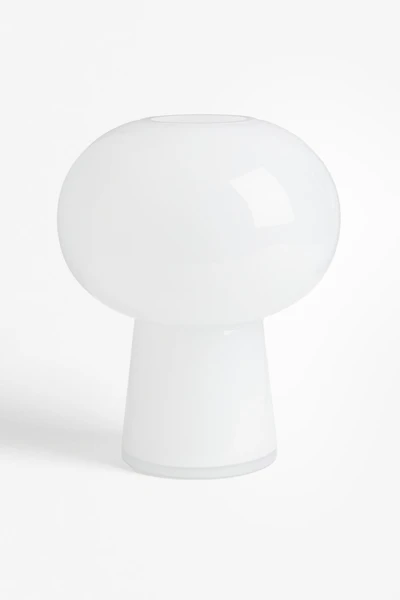 Shiny Glass Vase
