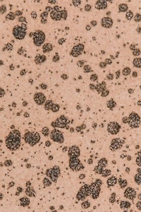 Petite assiette en grès cérame