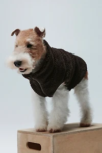 Teddy Fleece Dog Jacket