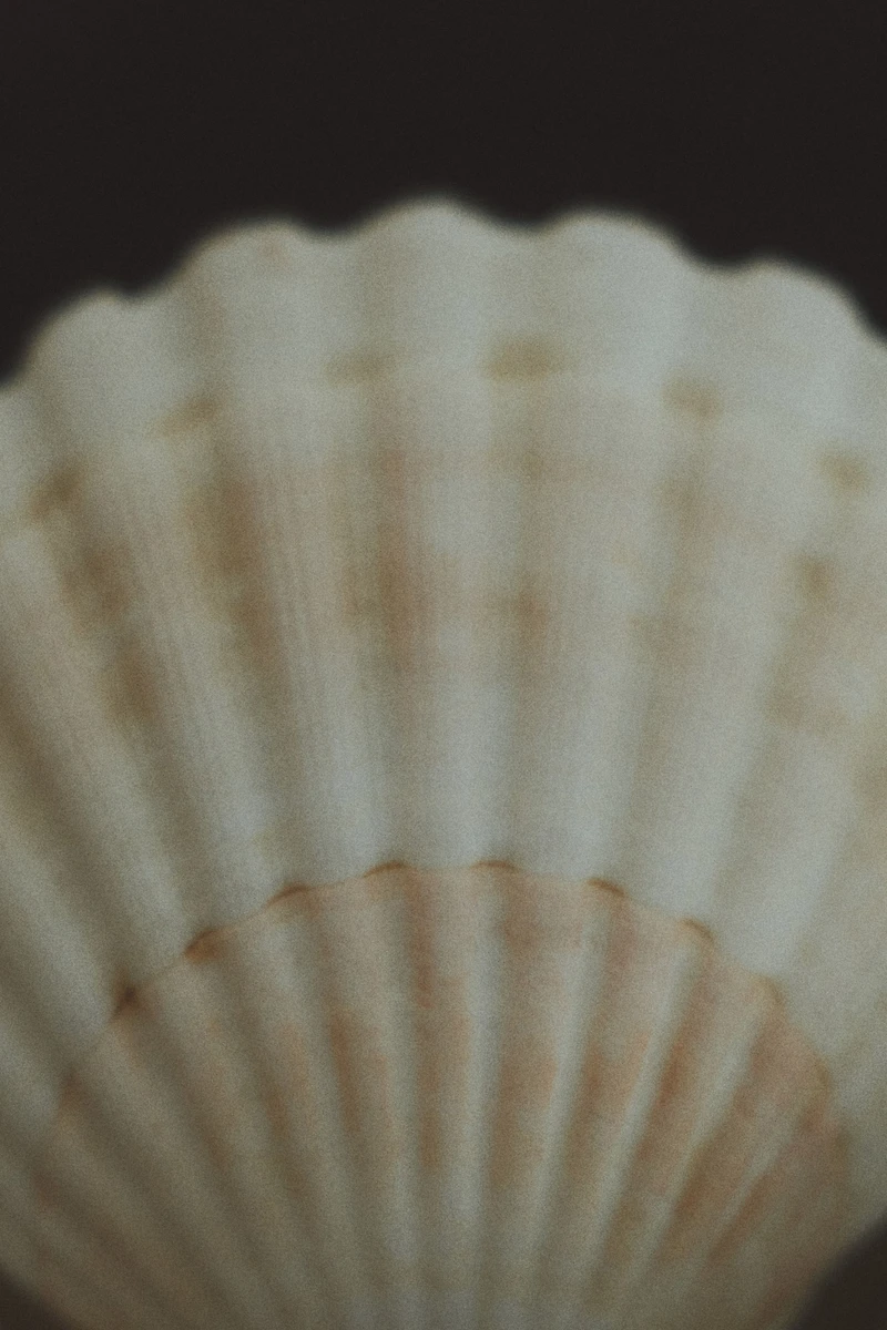 Footed Stainless Steel Bowl