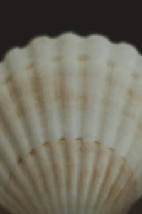 Footed Stainless Steel Bowl