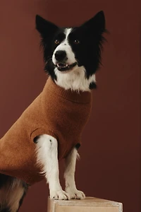 Fine-Knit Dog Sweater