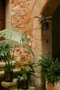Rattan Hanging Plant Pot Holder