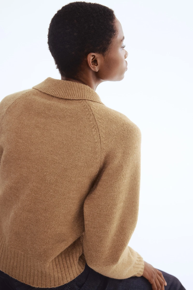 Sweater with Collar