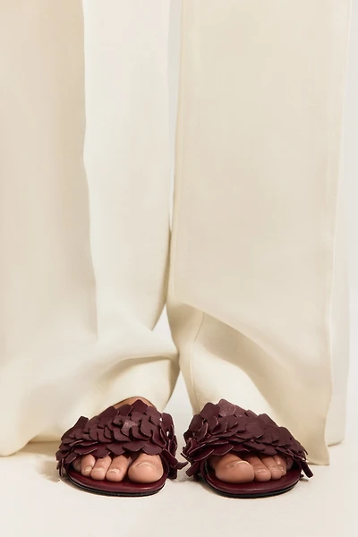 Leather Sandals