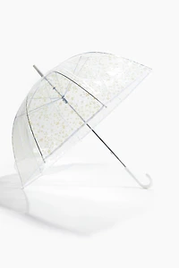 Transparent Umbrella