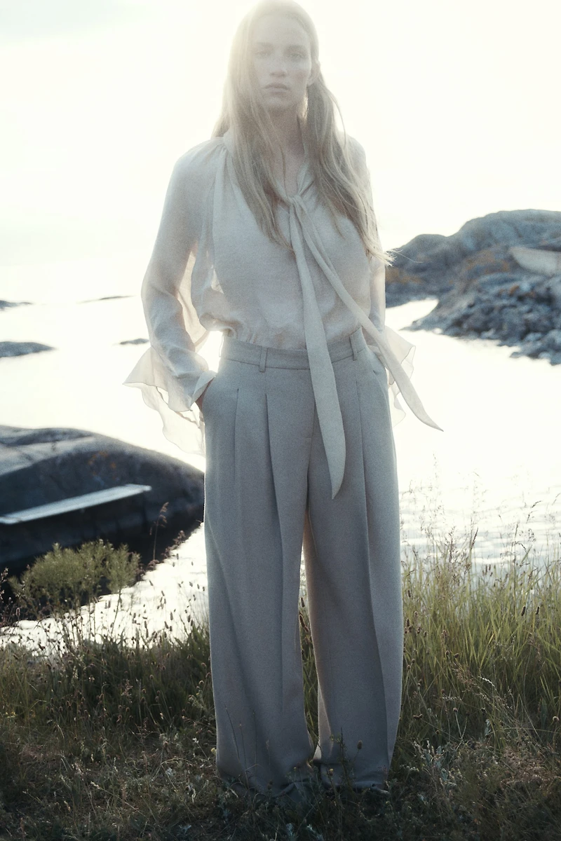 Wide-Leg Dress Pants