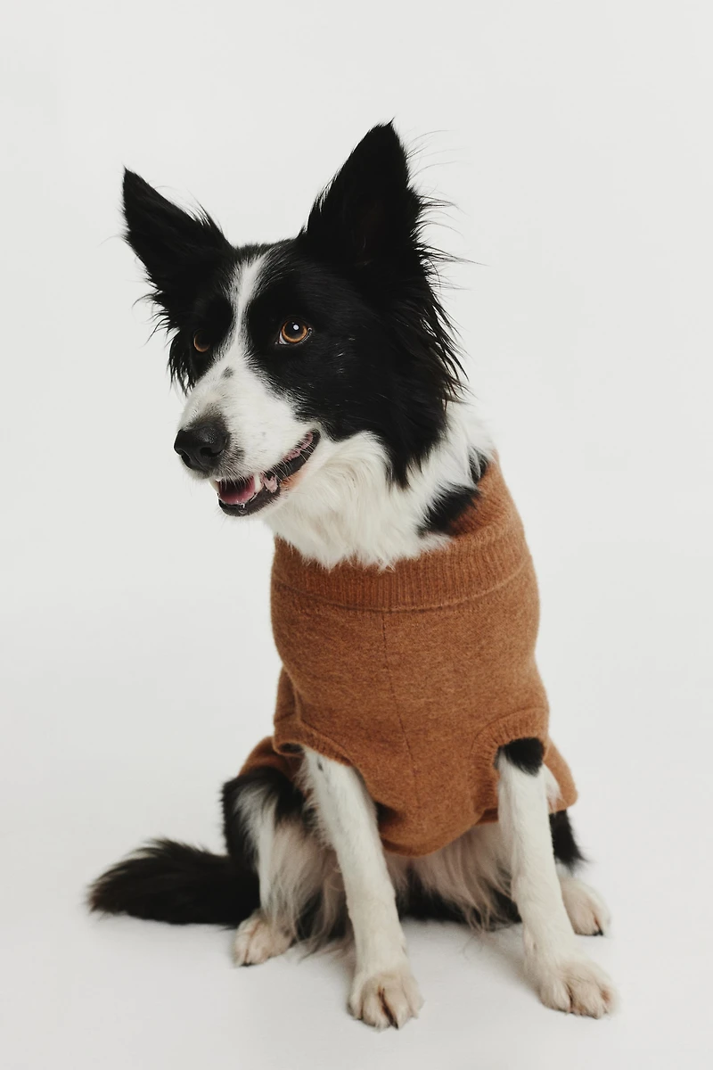 Fine-Knit Dog Sweater