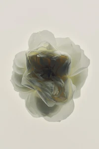 Modern Minimalist Fragrance