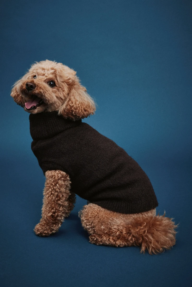 Fine-Knit Dog Sweater